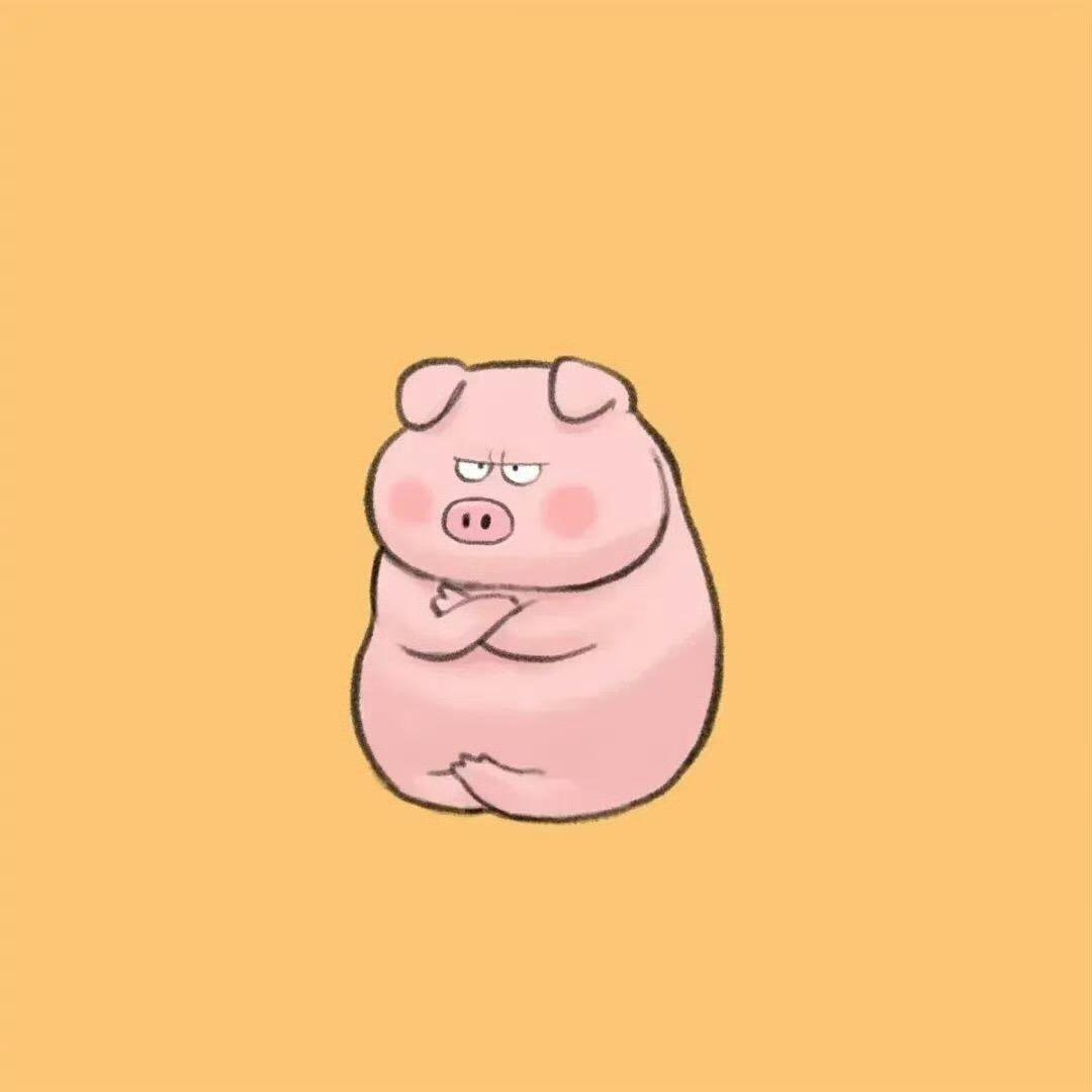 黑皮猪
