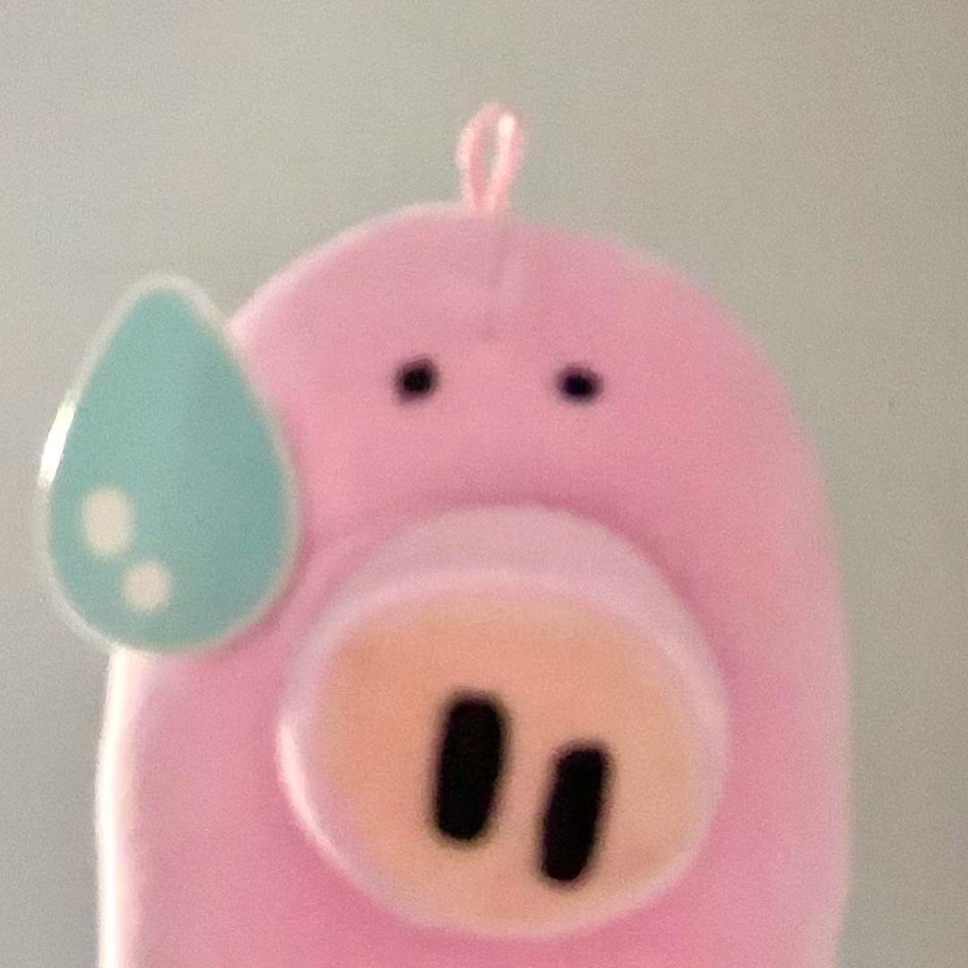 豬