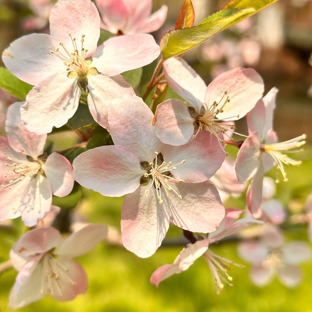 💗᭄转身陌路💗᭄