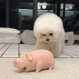 又菜又爱练