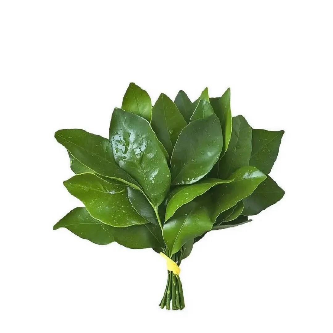 拾壹