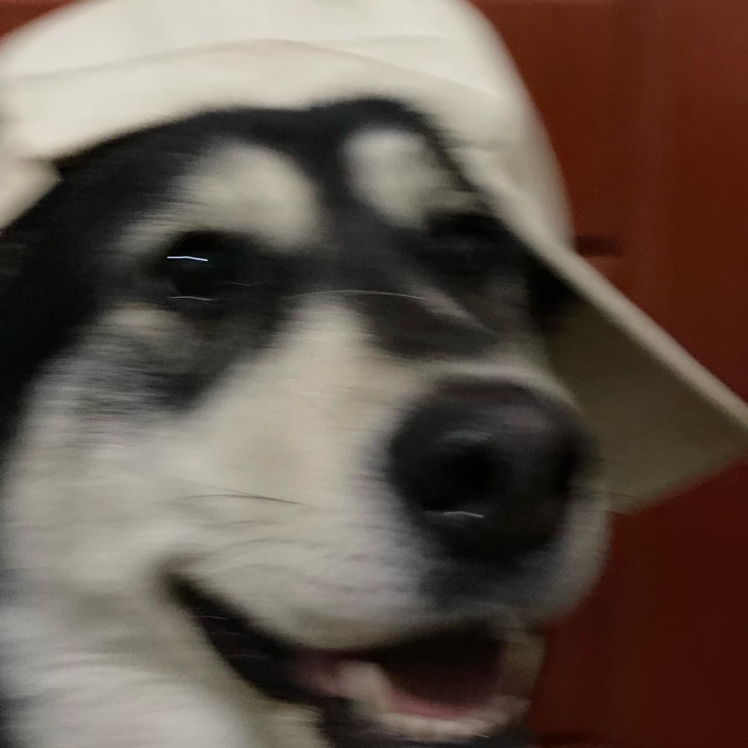 滴歪歪