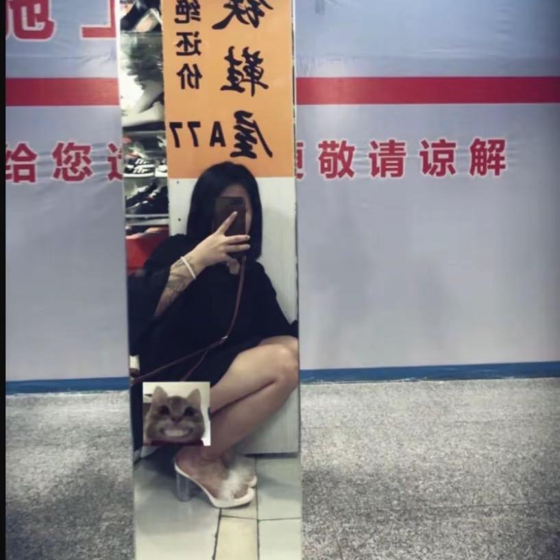 狗蛋🦆.