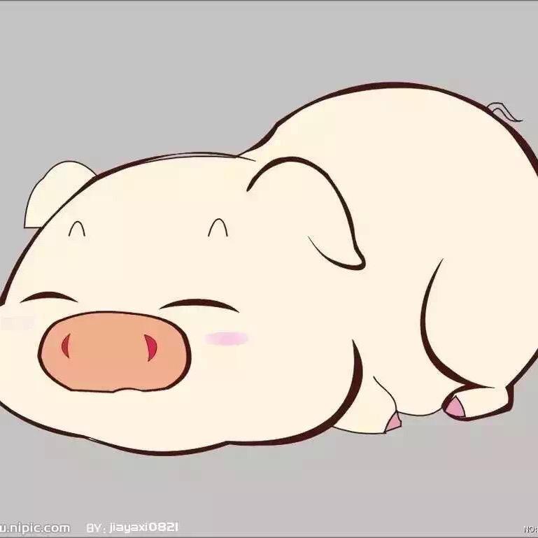 憨憨猪🐷