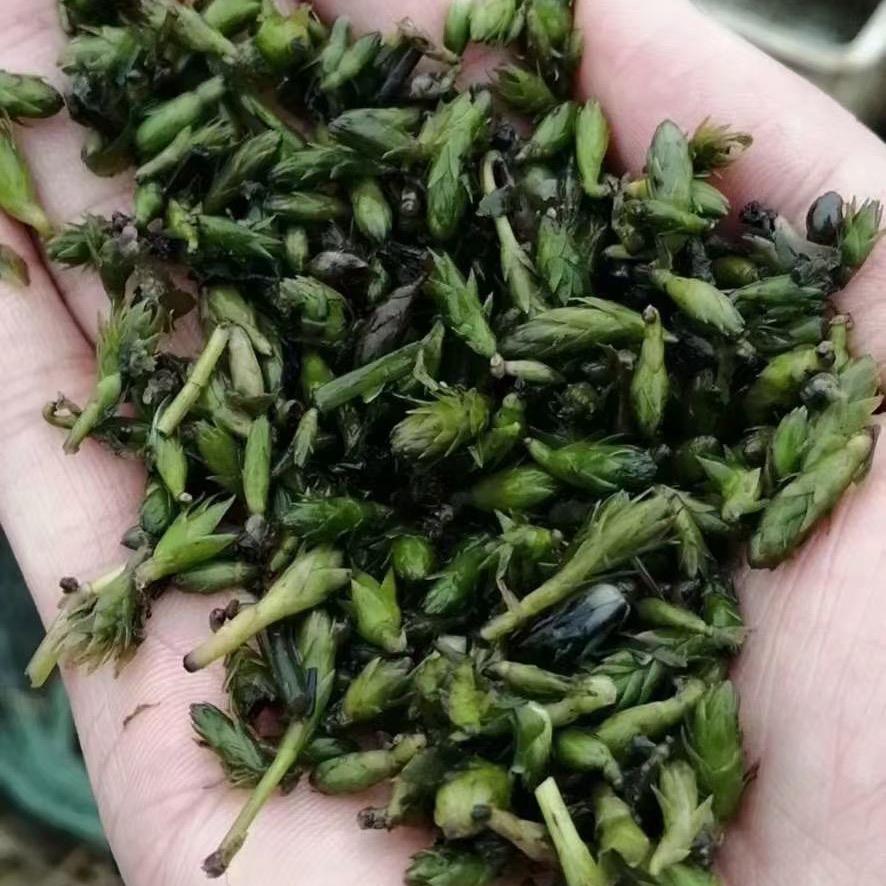 天天水产小卖铺