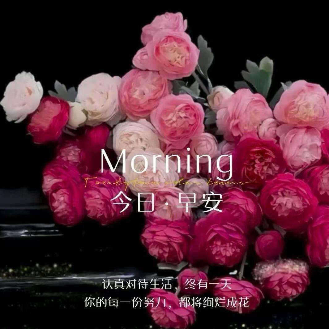 丽丽好物分享