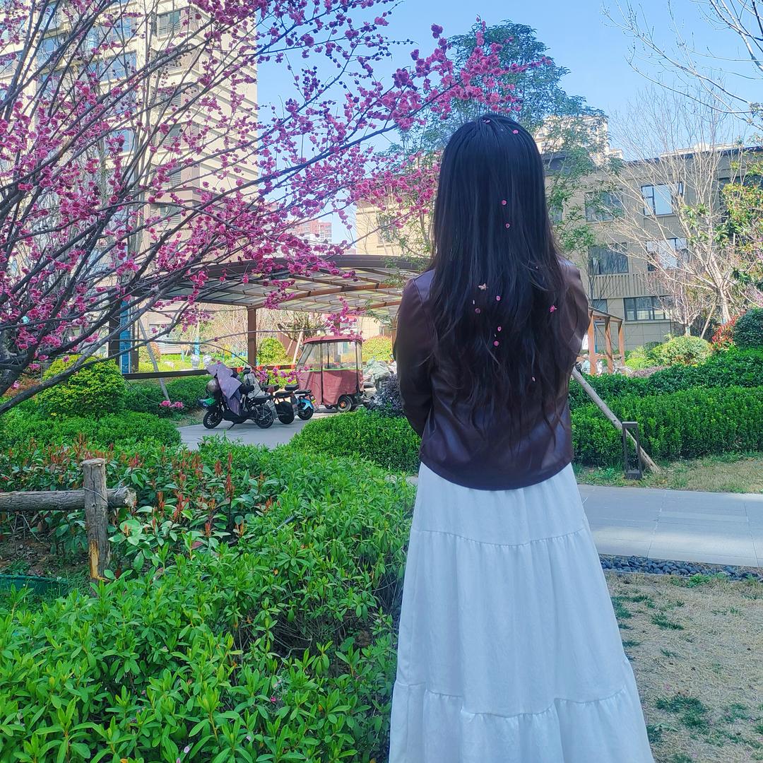 若只如初见