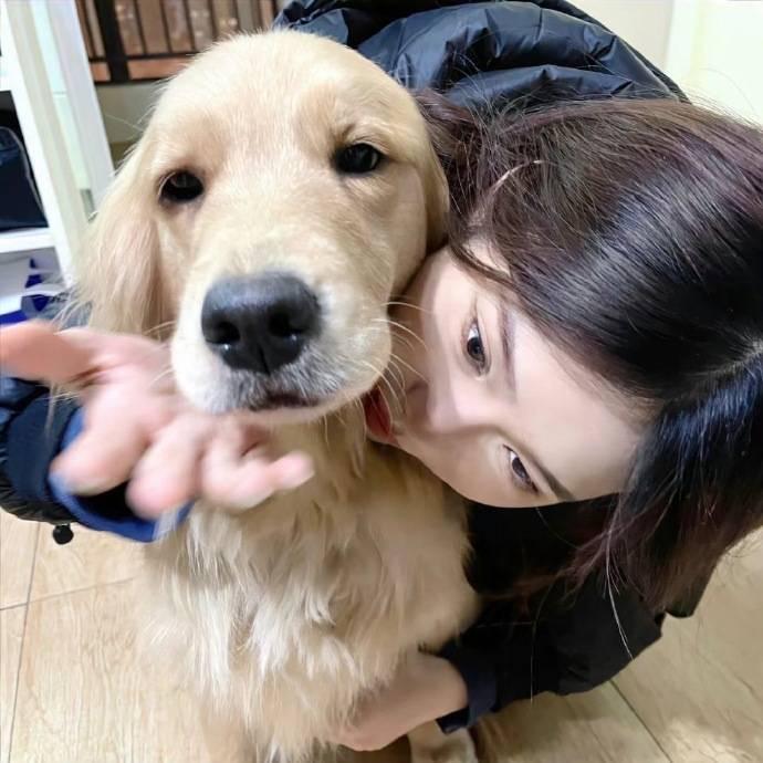 起司*（无畏契约）