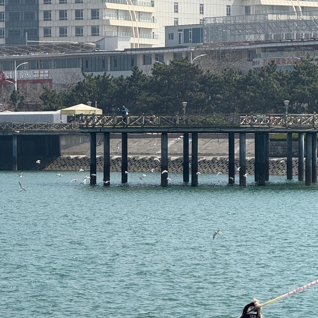 所向披靡