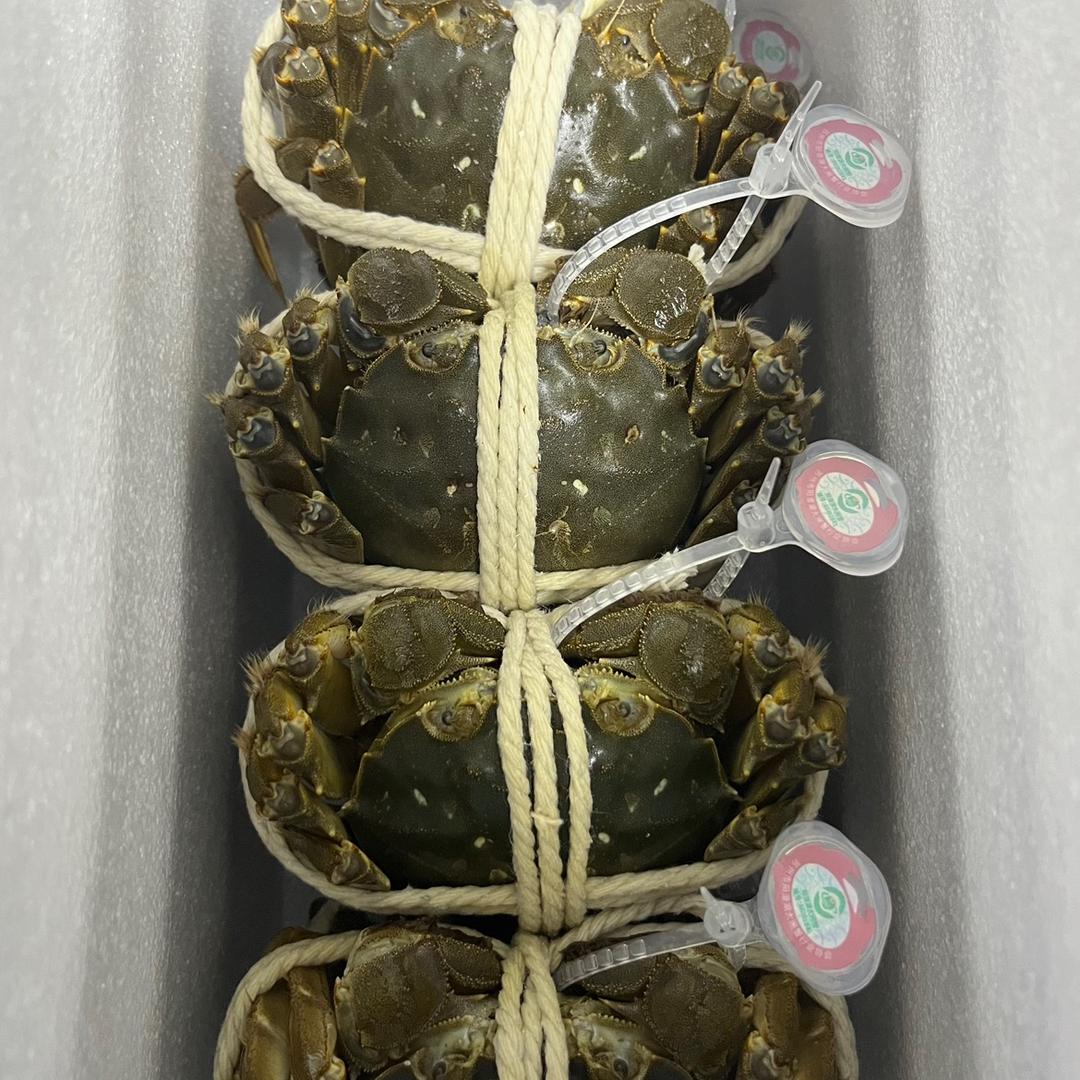 康亿鲜阳澄湖大闸蟹