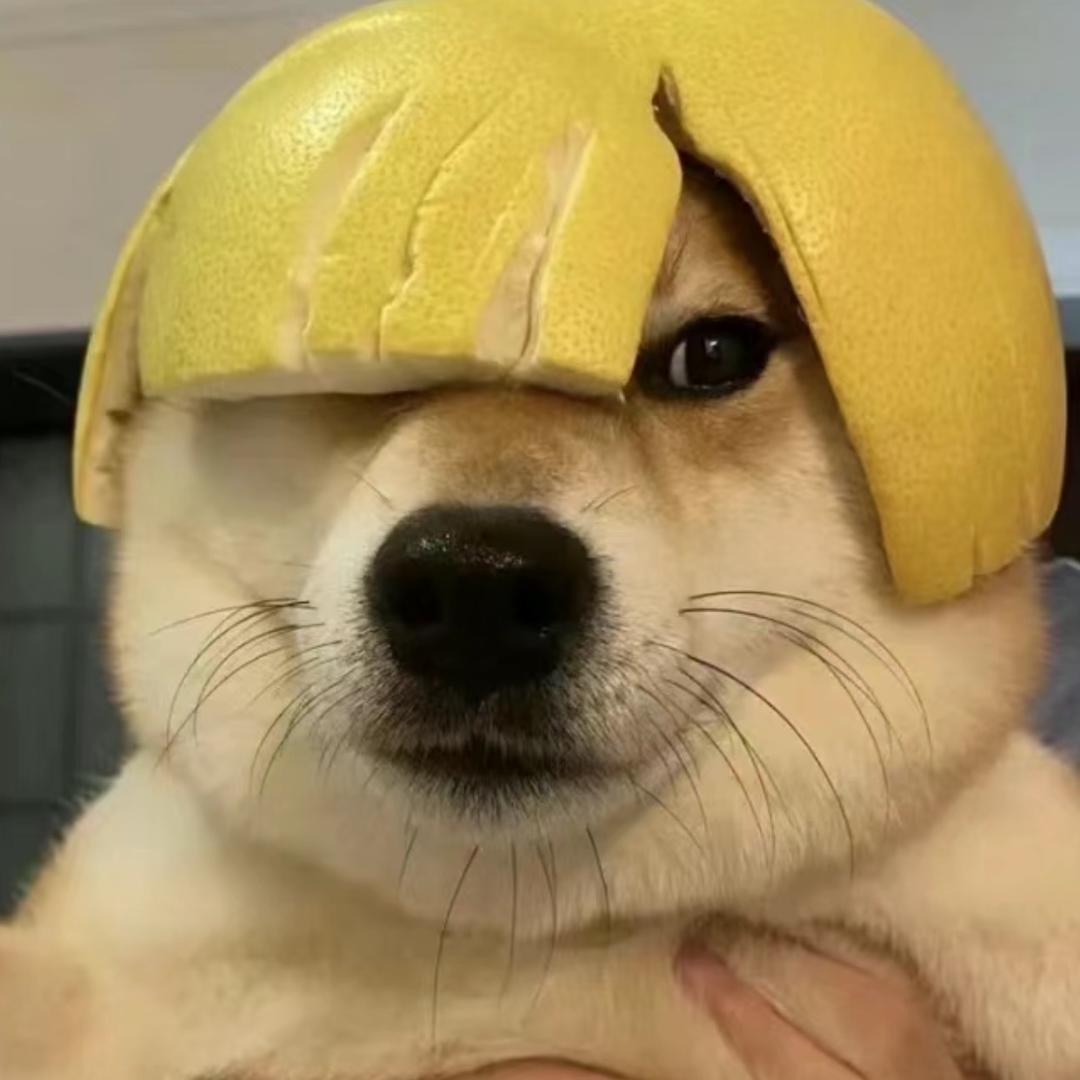 某感
