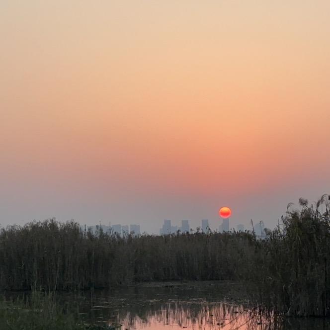 小小凯