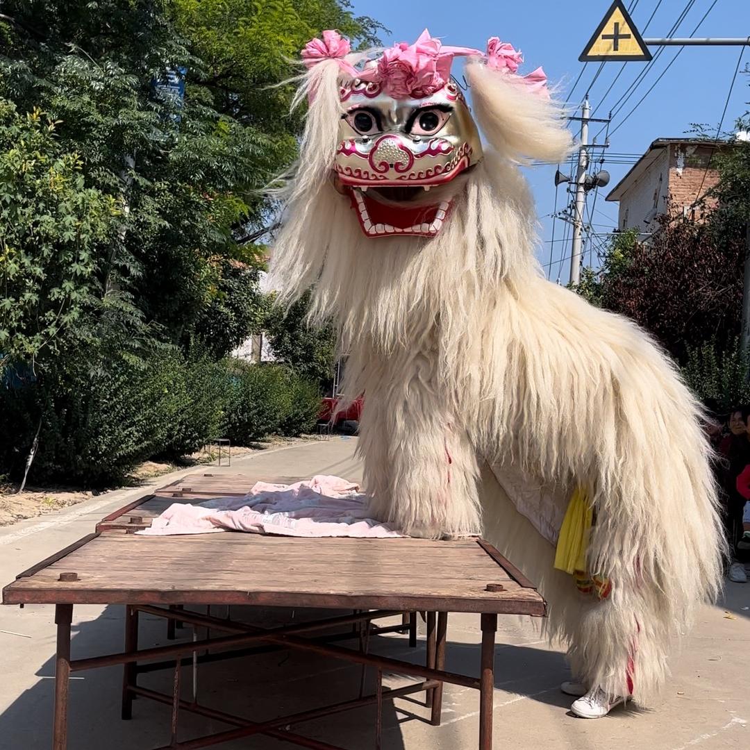 梁山小白狮舞狮团（曹先龙）