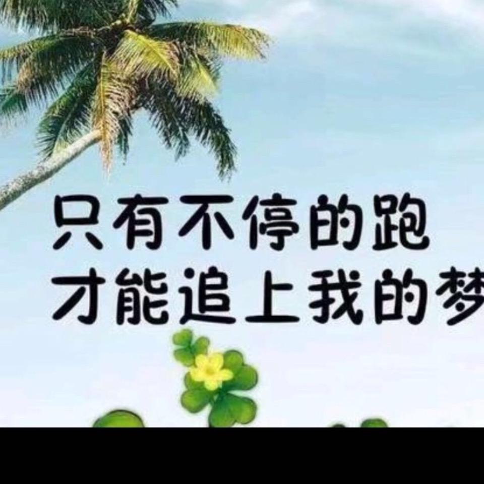好运来🍀