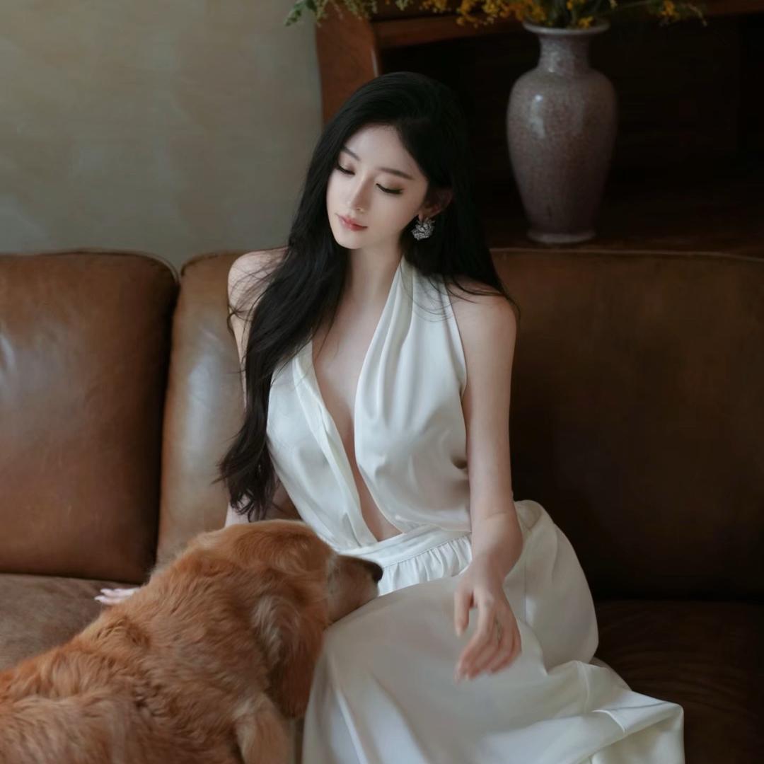 郁金香🌷