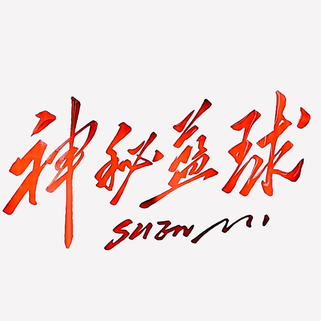 ufc299:宋亚东