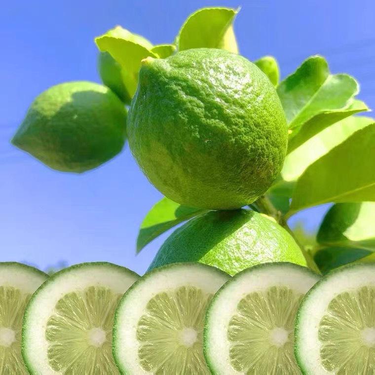 优鲜广东香水柠檬