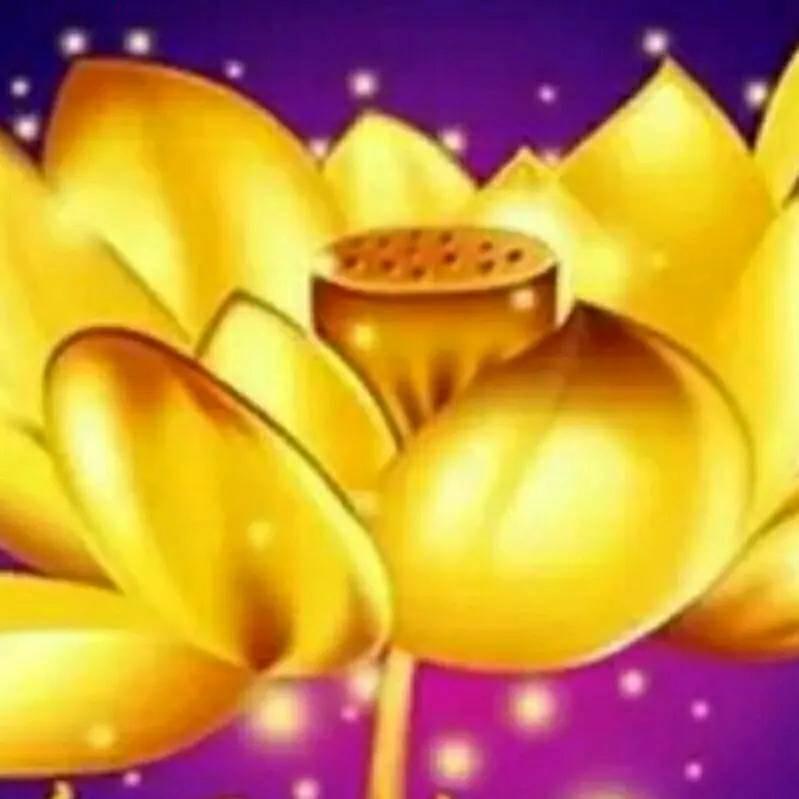 吉祥如意🙏