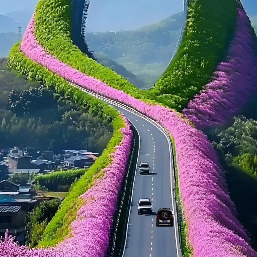 洋洋洒洒