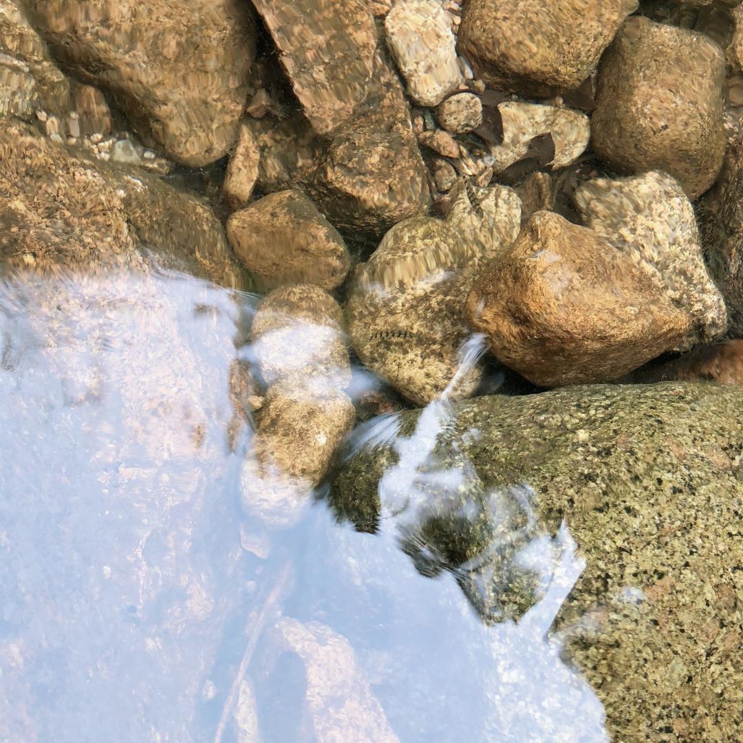 蒜鸟蒜鸟，都不容易