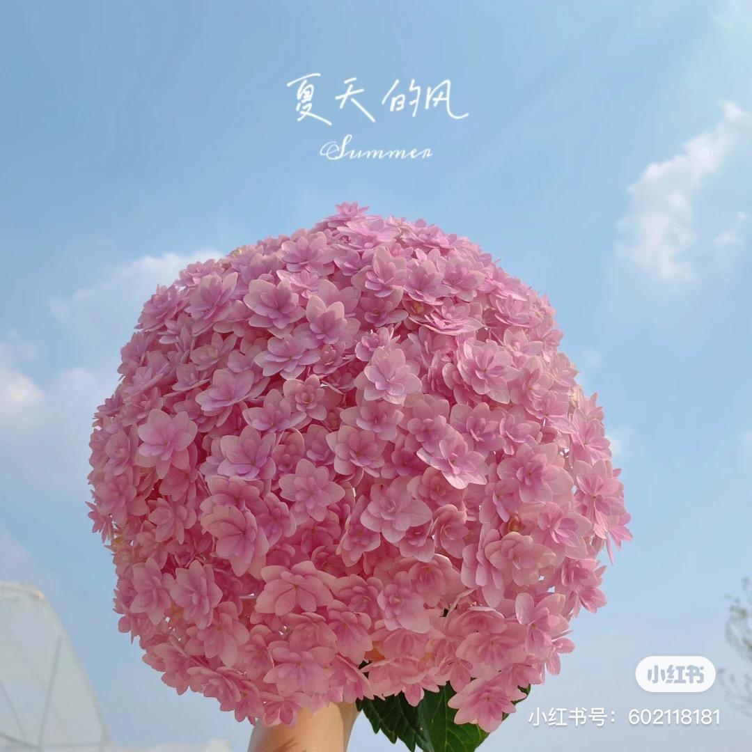 小何同学。