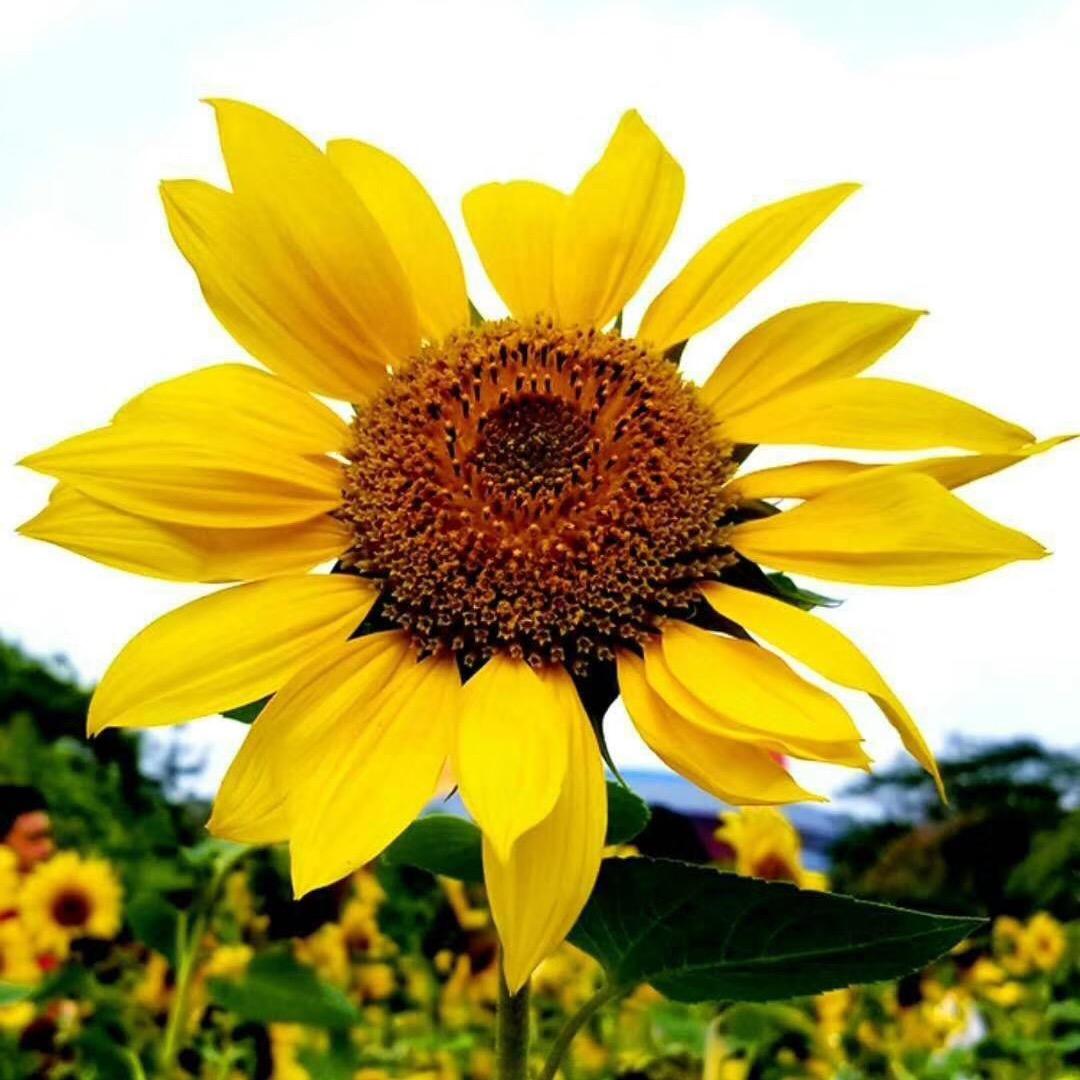 德州市陵城区神墨培训学校有限公司