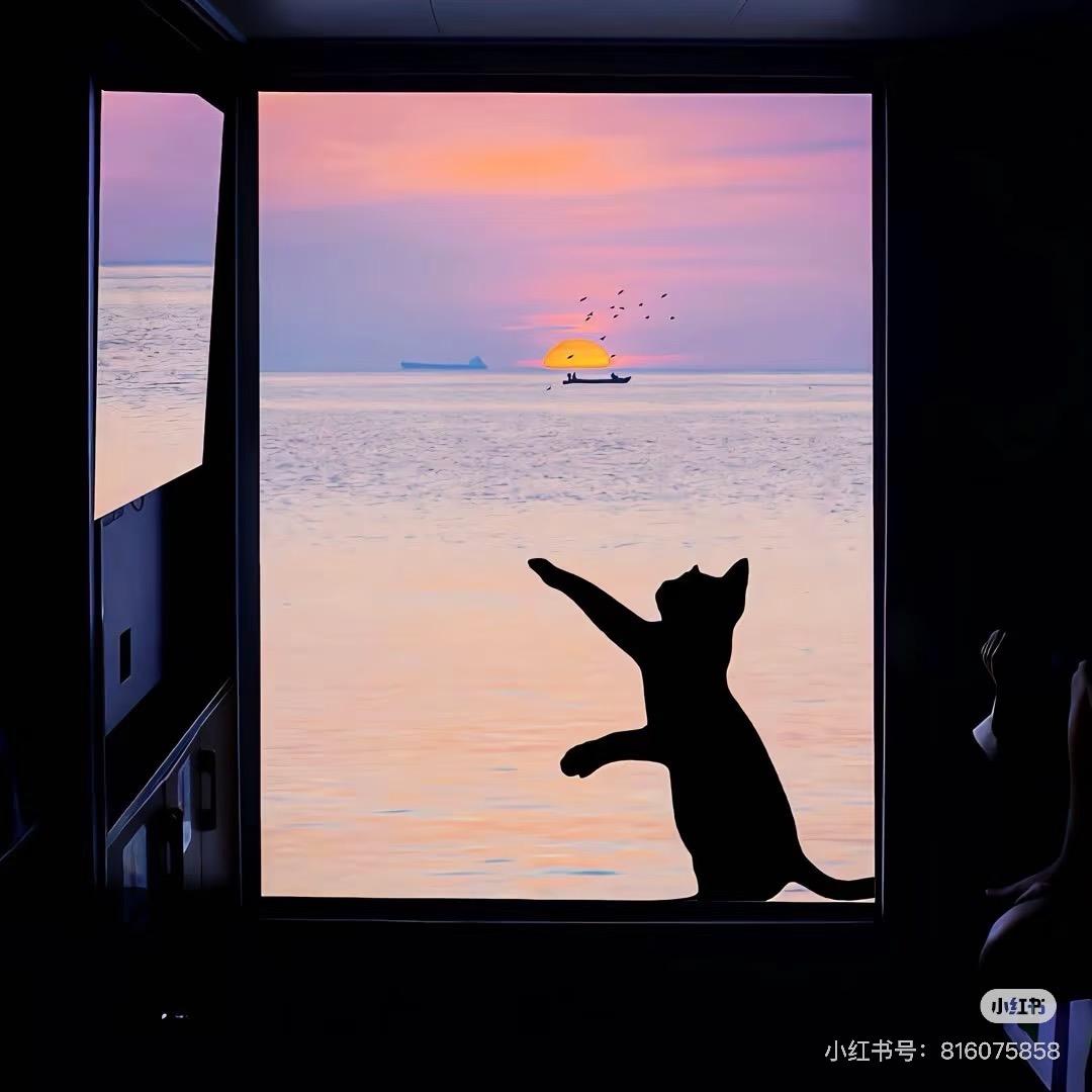 圈圈圆圆