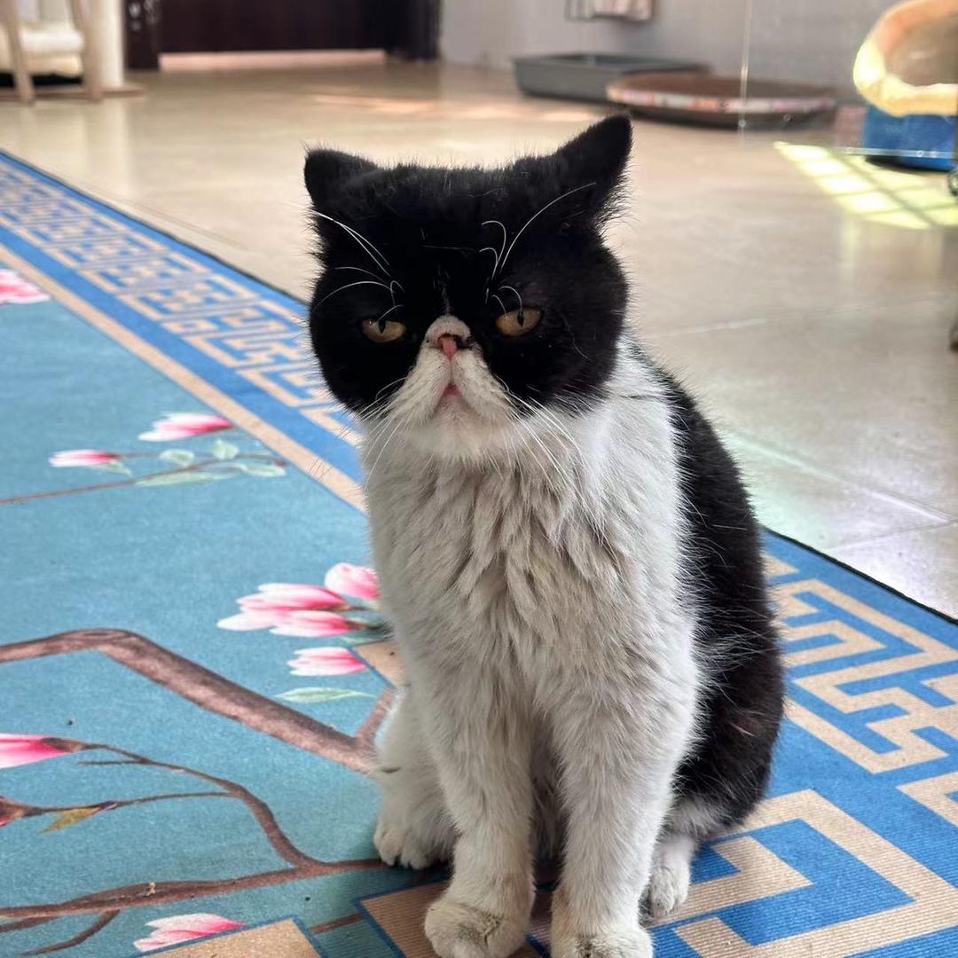 姐宠Ta家庭式寄养