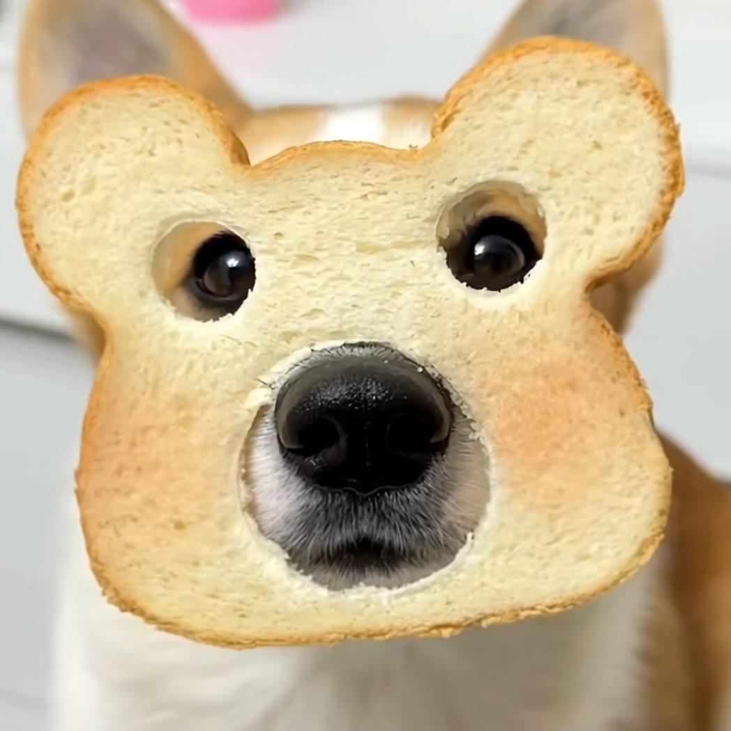 了事
