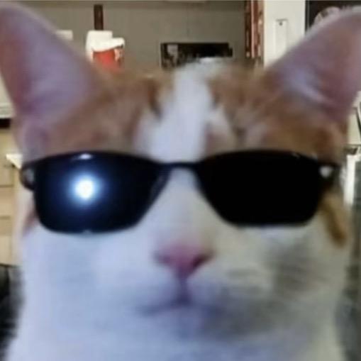 风中的一匹孤狼