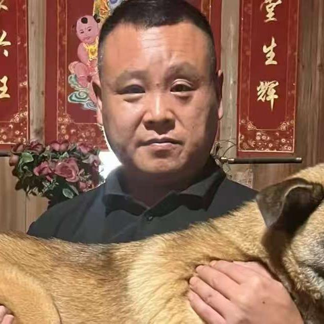 华茂爱心流浪狗救助