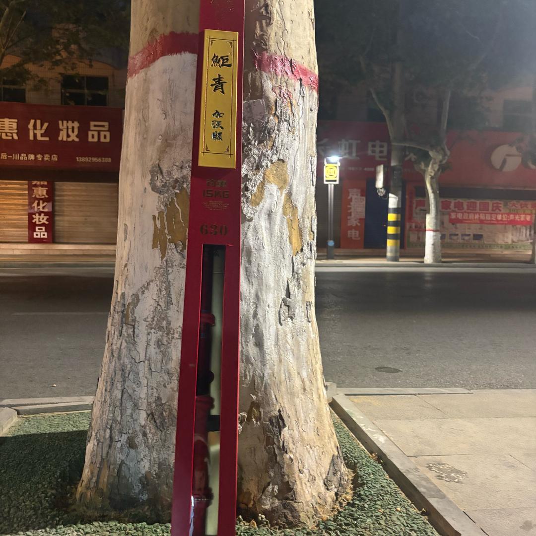 小杨