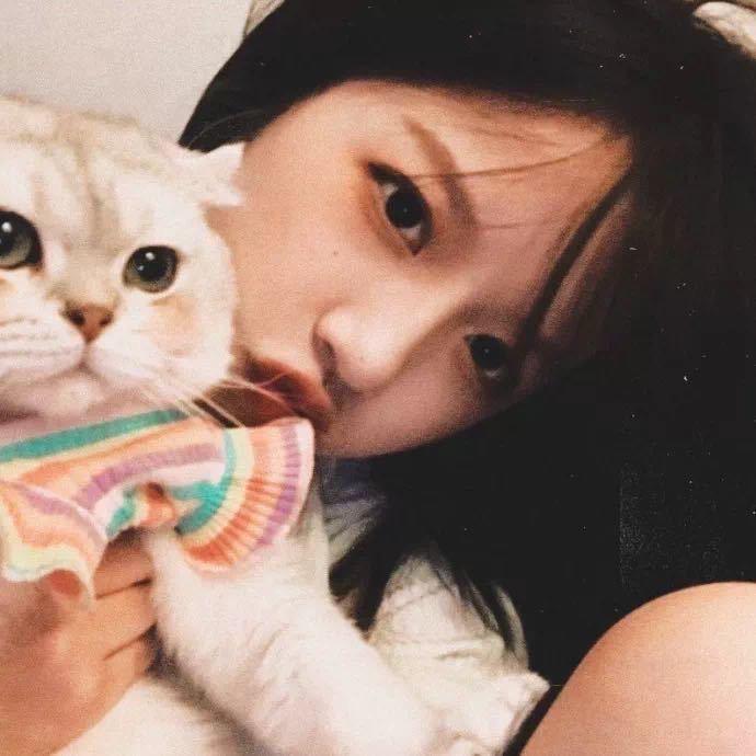 我不看月亮