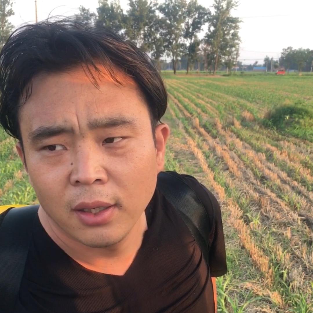 山东鹤鹤