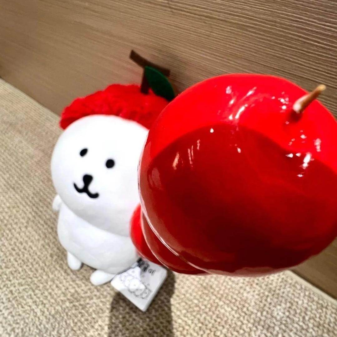泡泡糖🫧
