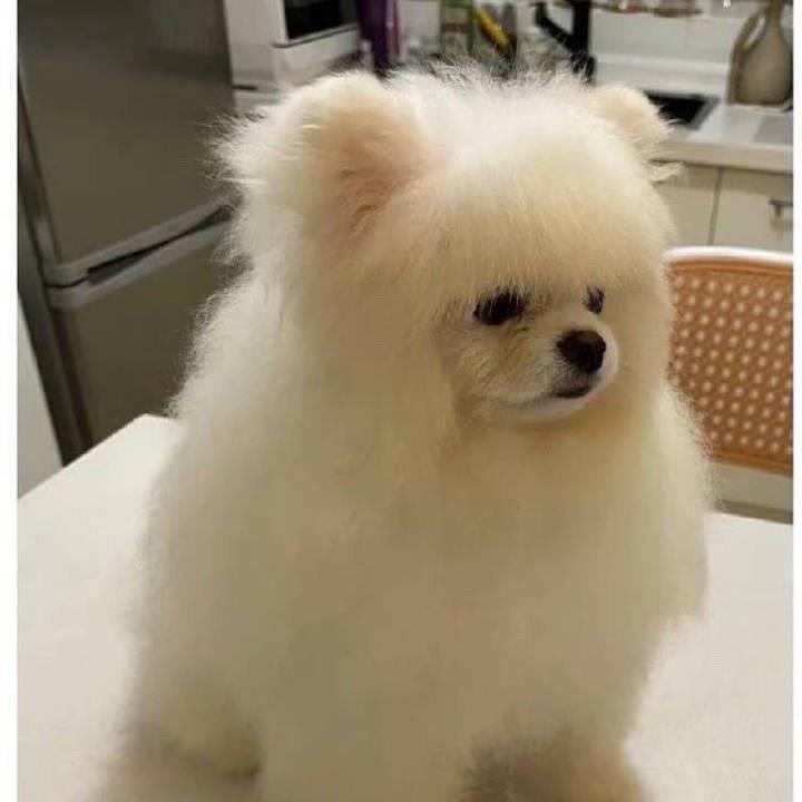 老胥