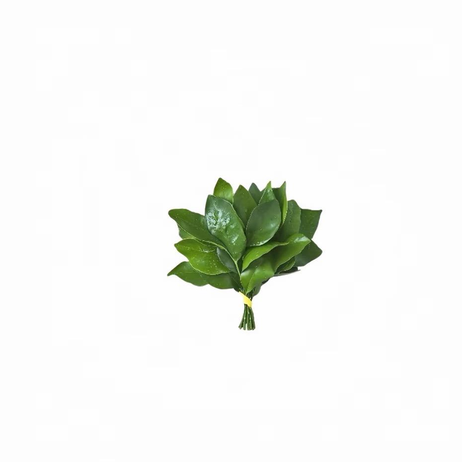 Y🧃