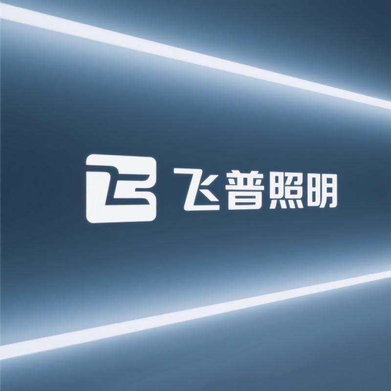 中山市飞普照明