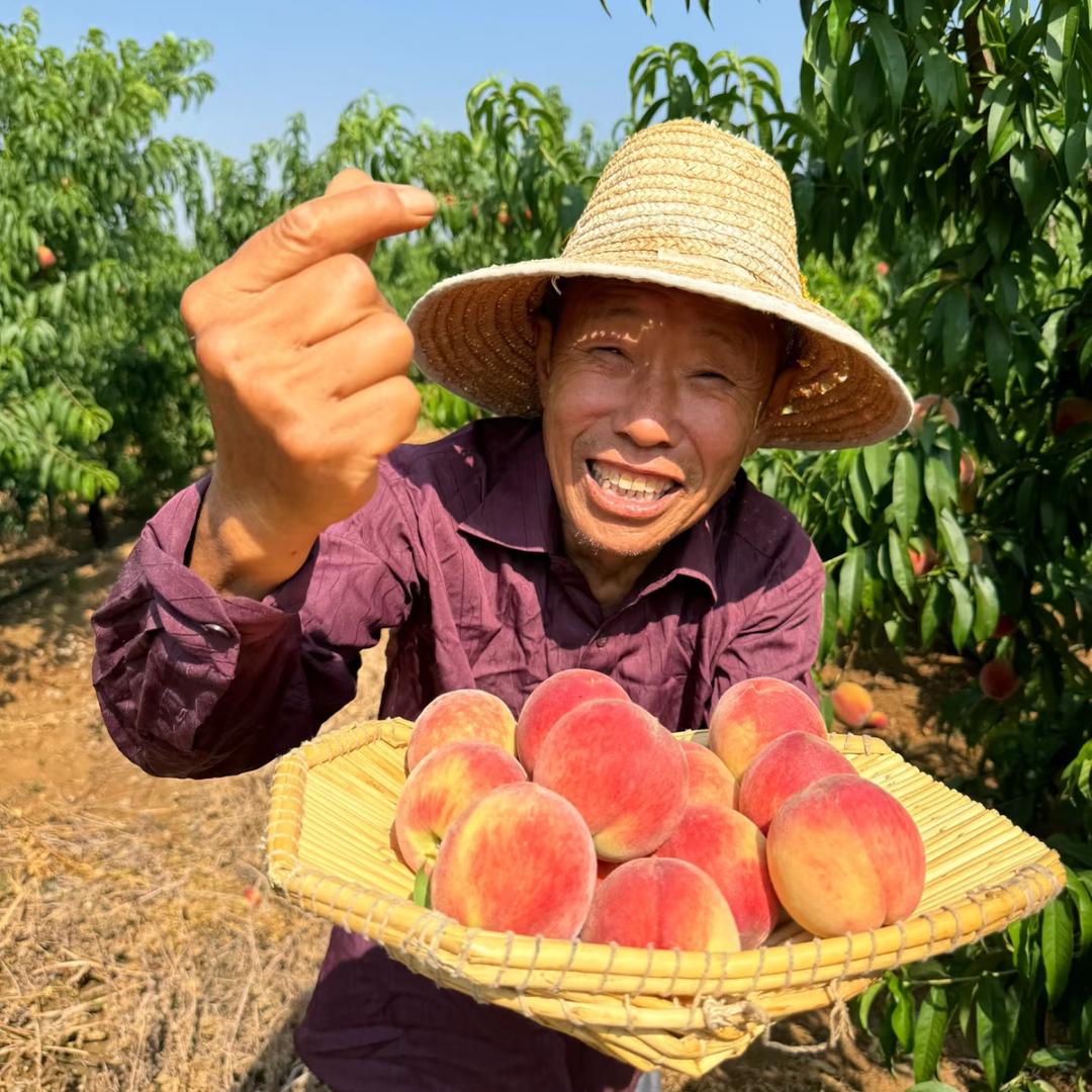 文哥果蔬农业