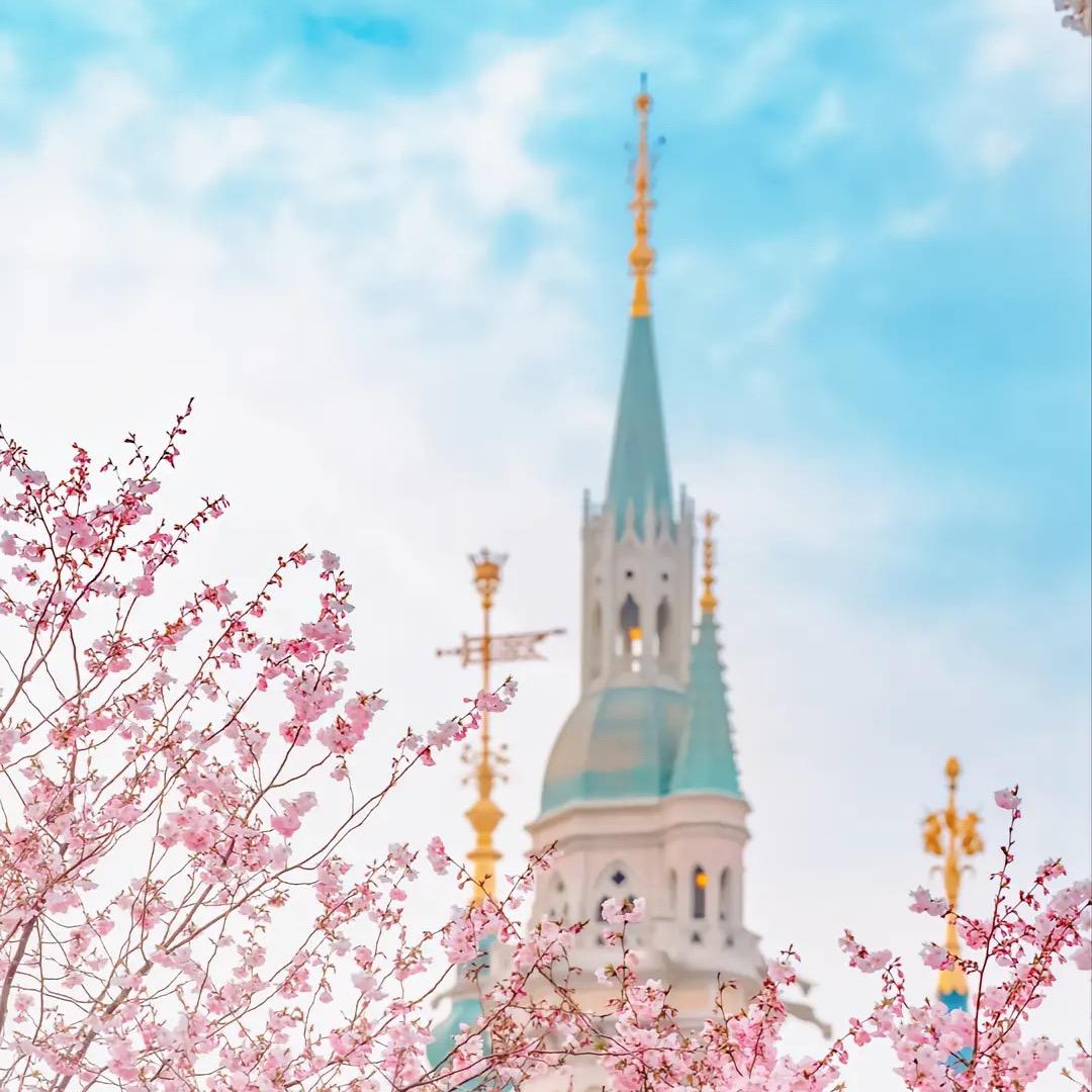 橙堡萌物社（手作版）