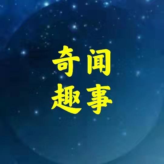 奇闻趣事