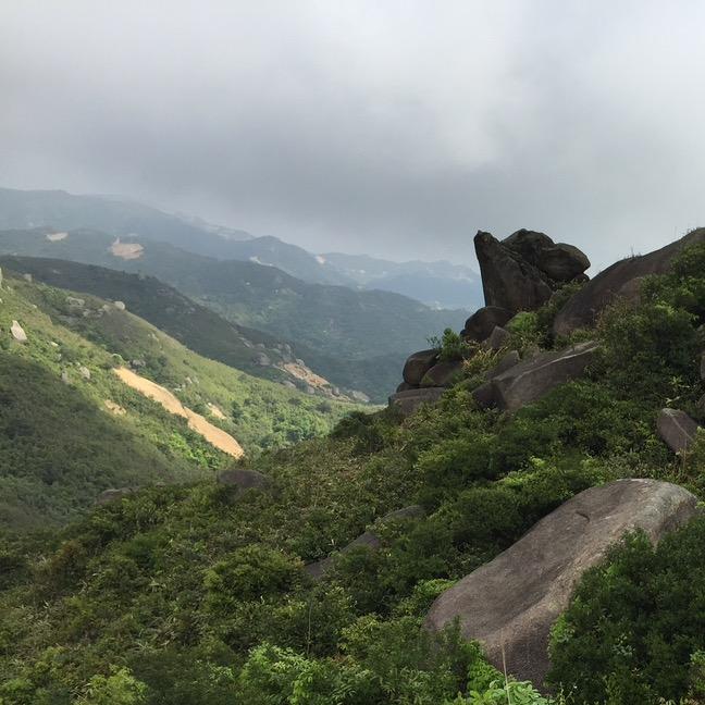 广州市黄埔区伲雅服装宏