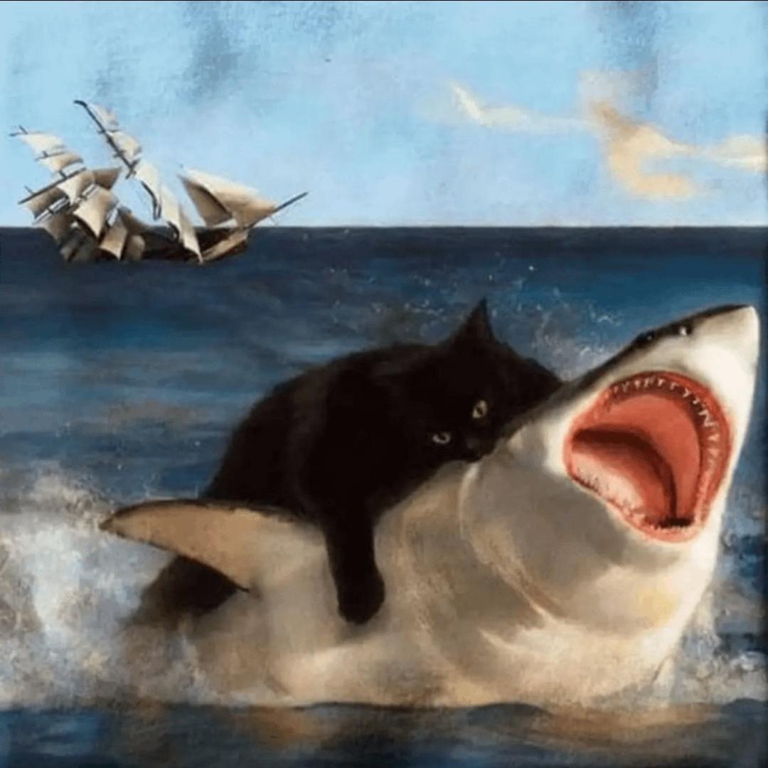 春天猫猫同学会