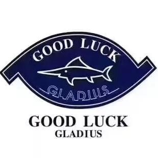 德鲨下沙奥莱直播间