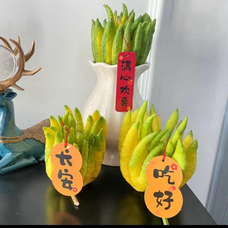 植笺丨云南高山佛手