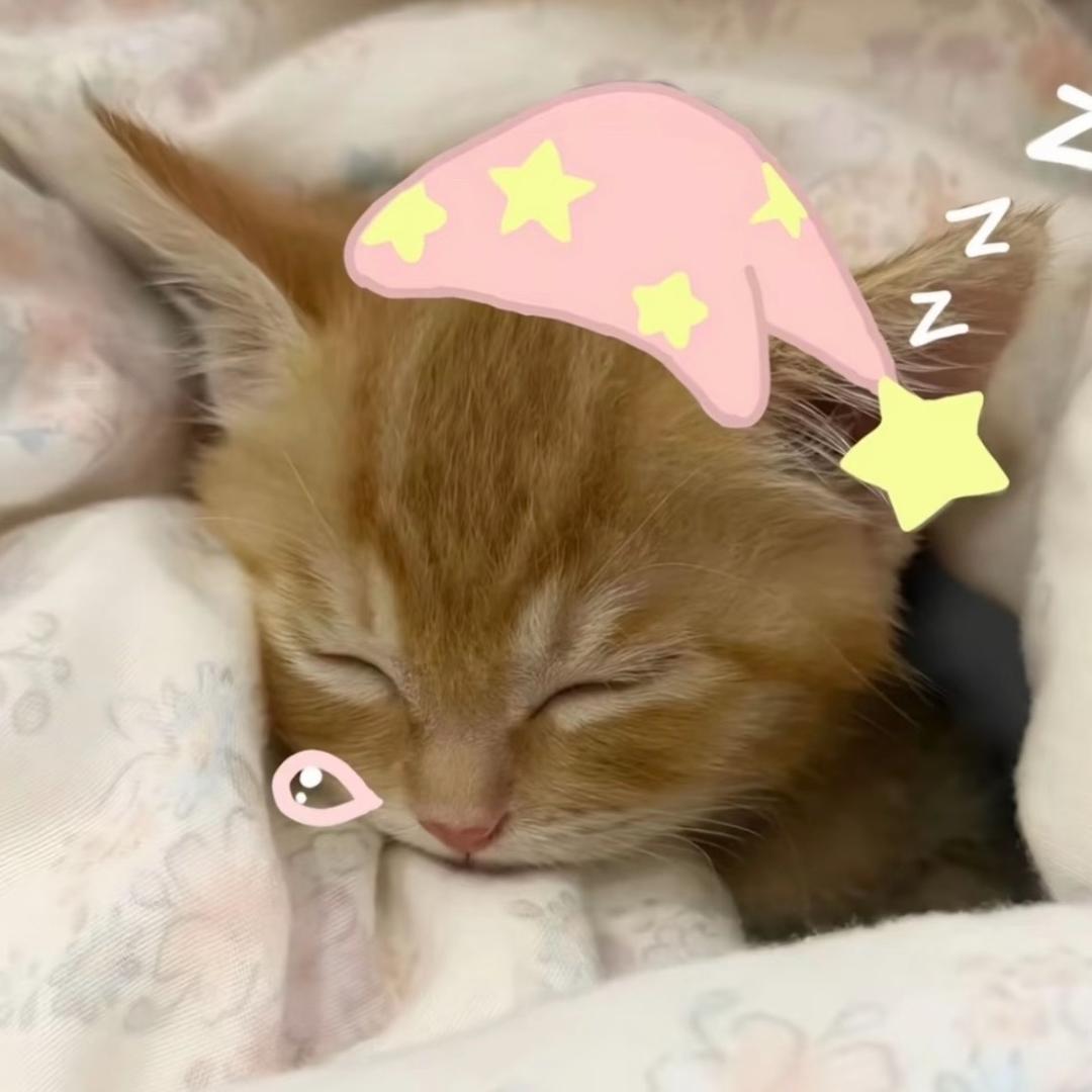 忍冬