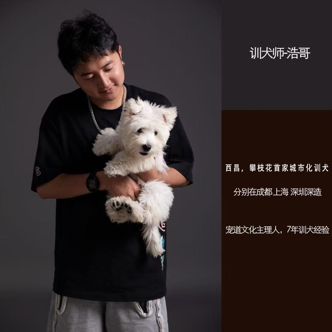 攀枝花宠道训犬师-浩哥