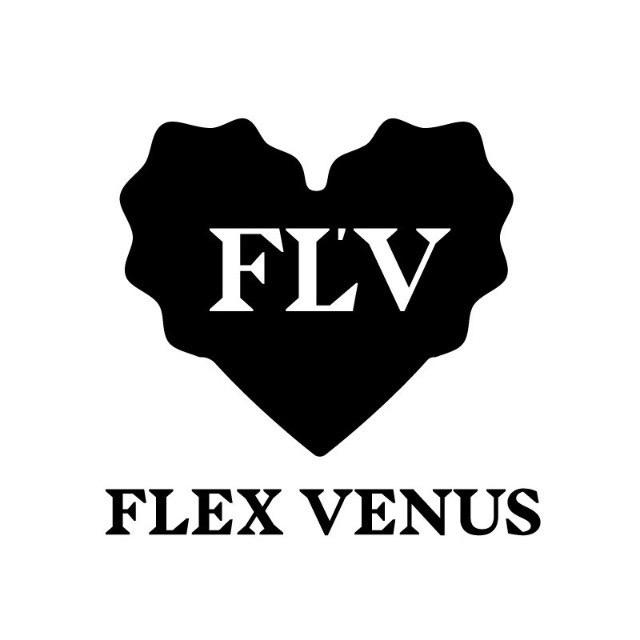 FLV饰品旗舰店