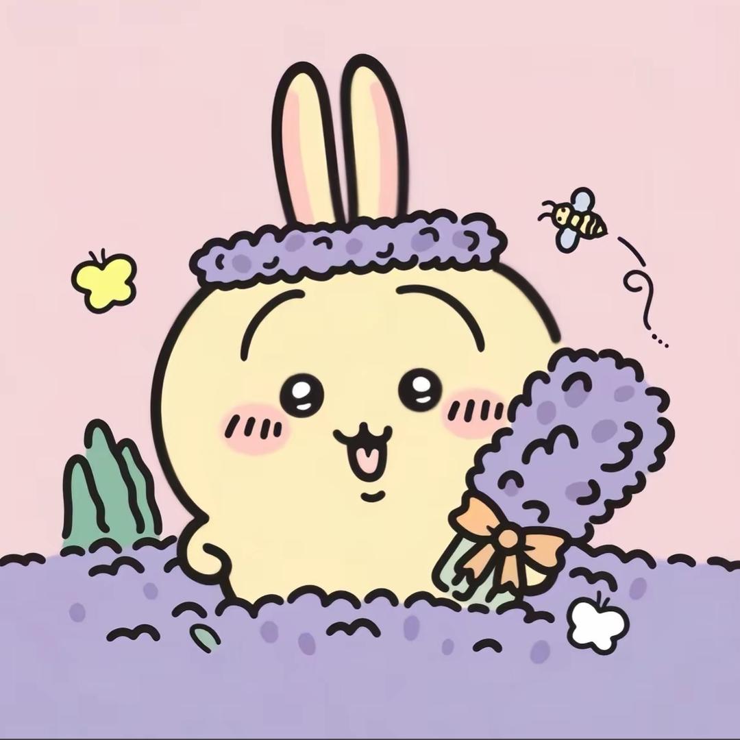 菲菲吖（开学版）