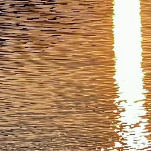 隆阳区冰之良珠宝店